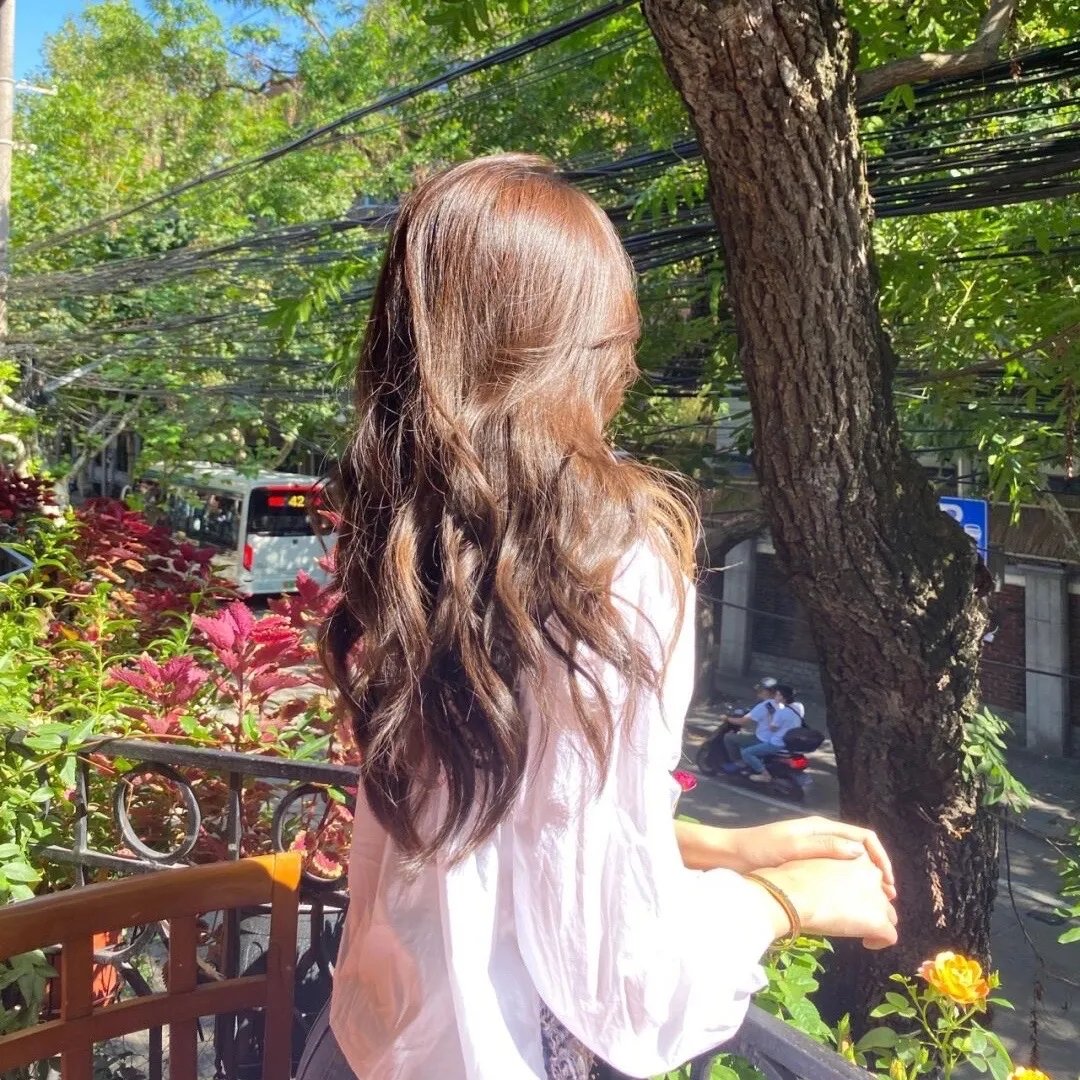 石榴花开